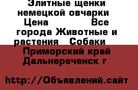 Элитные щенки немецкой овчарки › Цена ­ 30 000 - Все города Животные и растения » Собаки   . Приморский край,Дальнереченск г.